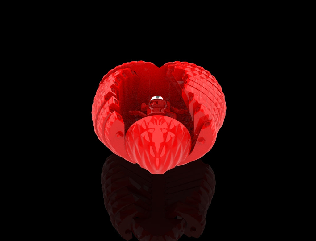 Valentine's Day Gift
