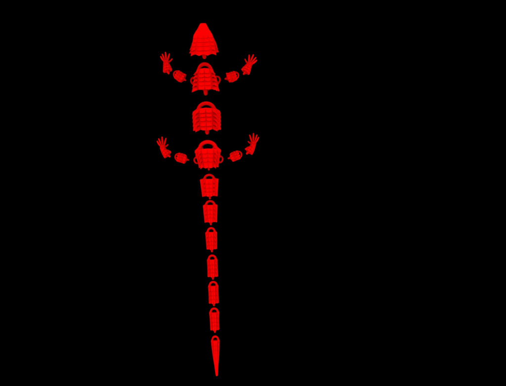 Red Eyed Crocodile Skink 3D MODEL DIGITAL FILE